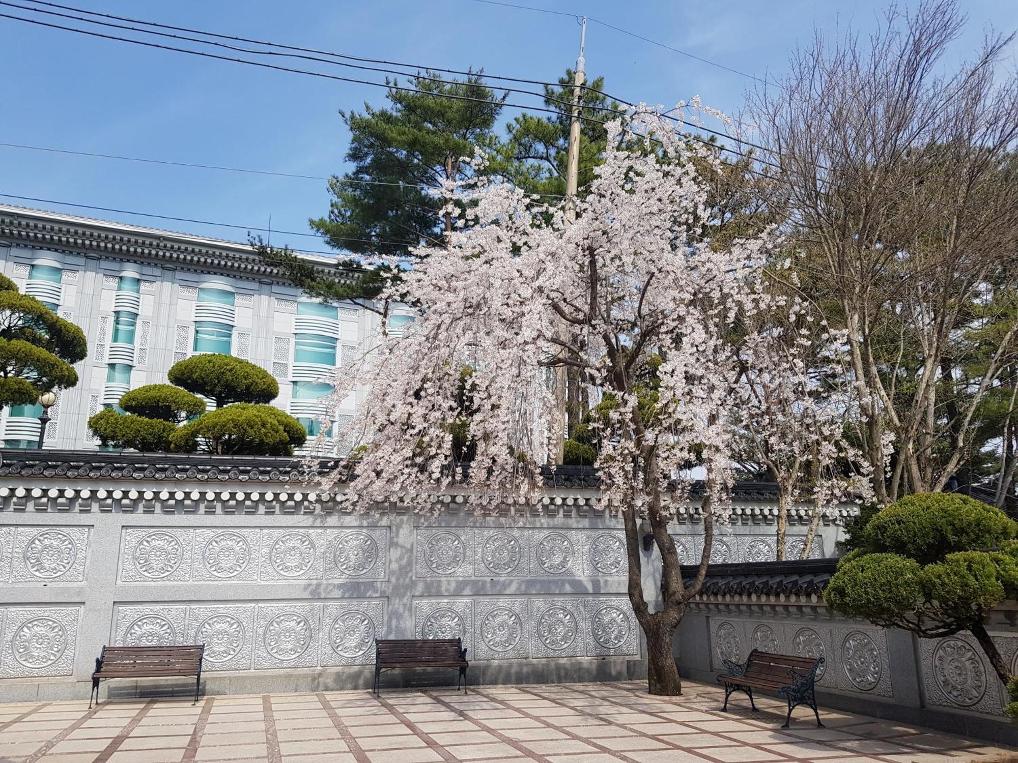 Hotel Gaya Seongju Exterior foto